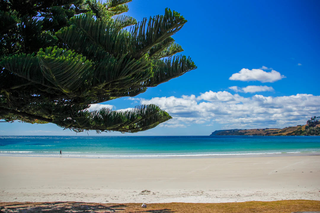 Packing Tips for Your Ocean Getaway What to Wear