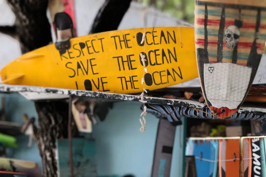 Sustainable Clothing Choices for Ocean Lovers