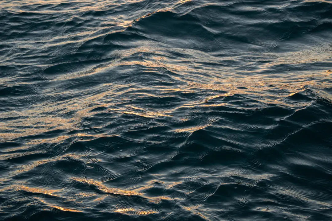 The Art of Layering for Evening Ocean Views